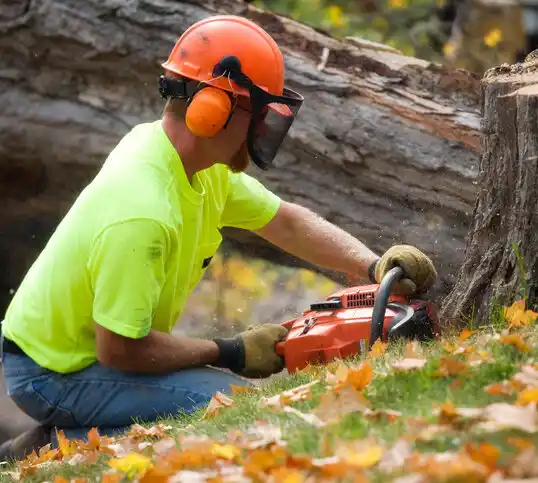 tree services Stagecoach